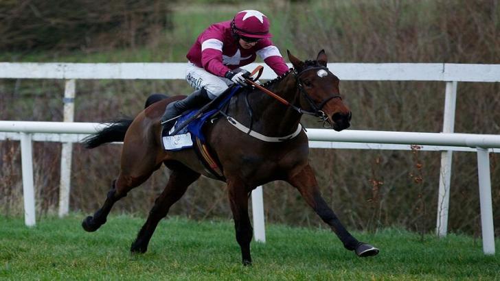 A Toi Phil in action at Leopardstown